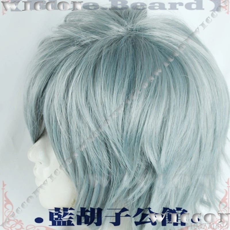 c;4\g,6'h.9/c;4\g,6'h.9/ティル・アニ - Anime Cosplay Blue Hair のレビューと価格